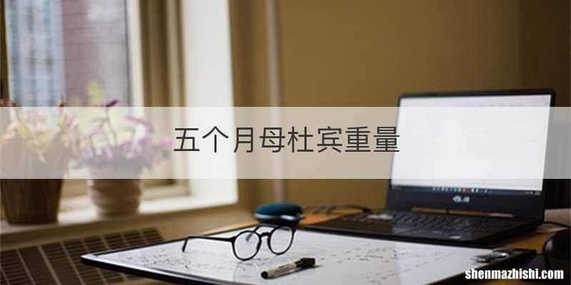 五个月母杜宾重量