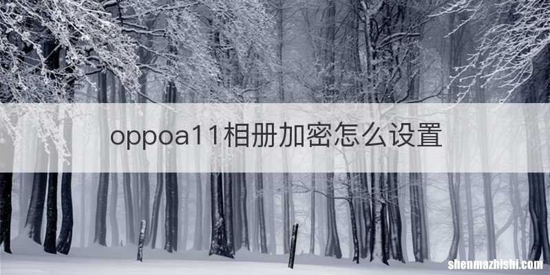 oppoa11相册加密怎么设置