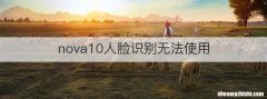 nova10人脸识别无法使用