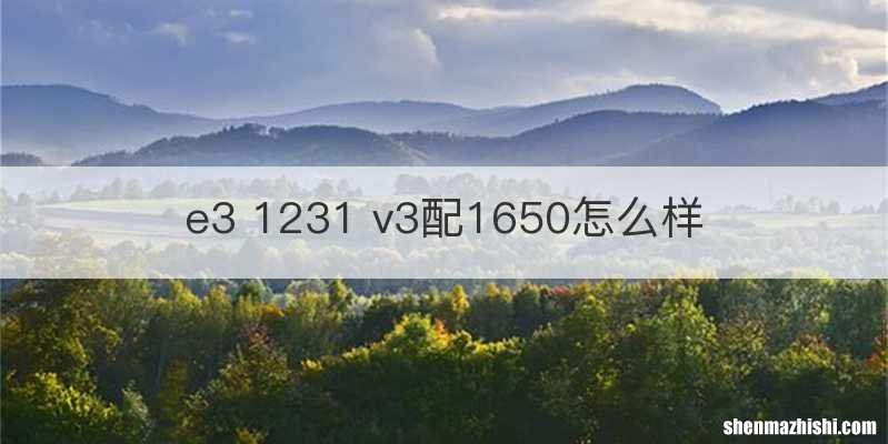 e3 1231 v3配1650怎么样