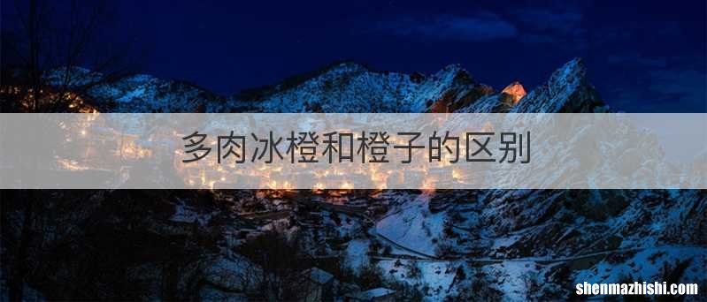多肉冰橙和橙子的区别