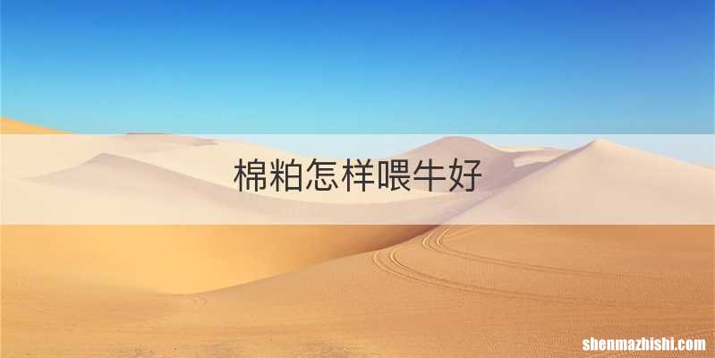 棉粕怎样喂牛好