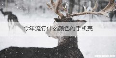 今年流行什么颜色的手机壳