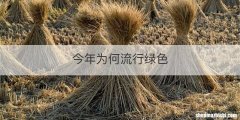 今年为何流行绿色