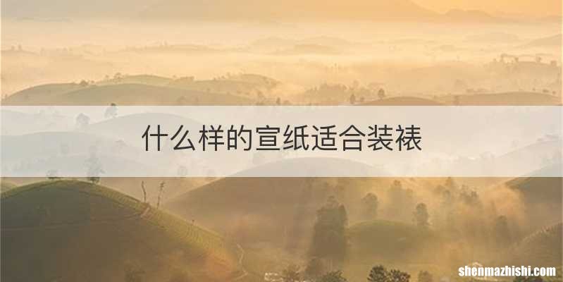 什么样的宣纸适合装裱