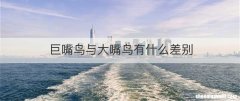 巨嘴鸟与大嘴鸟有什么差别