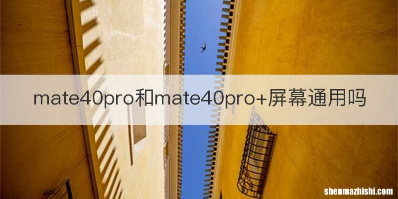 mate40pro和mate40pro+屏幕通用吗
