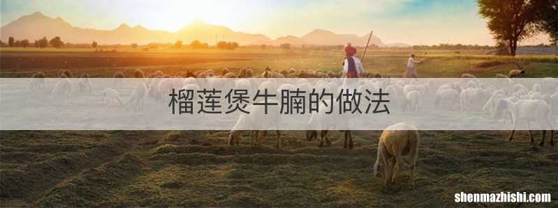 榴莲煲牛腩的做法