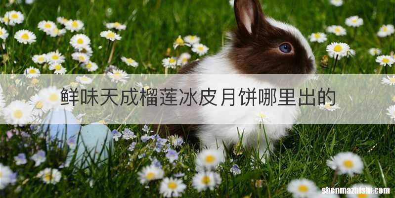 鲜味天成榴莲冰皮月饼哪里出的