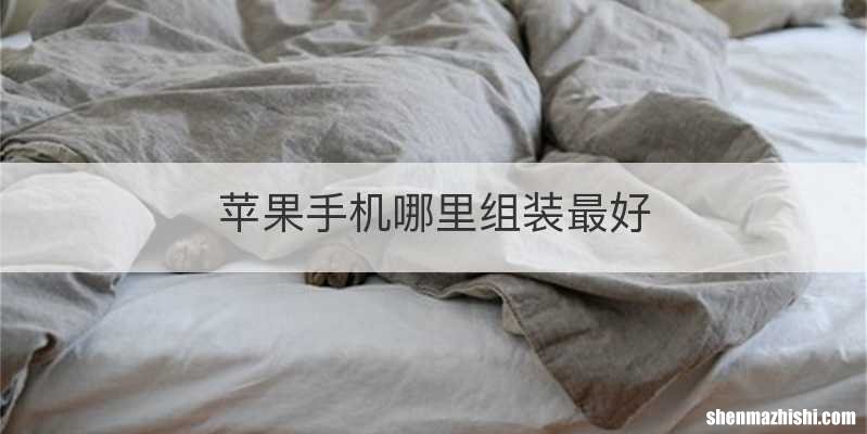 苹果手机哪里组装最好