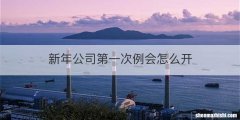 新年公司第一次例会怎么开