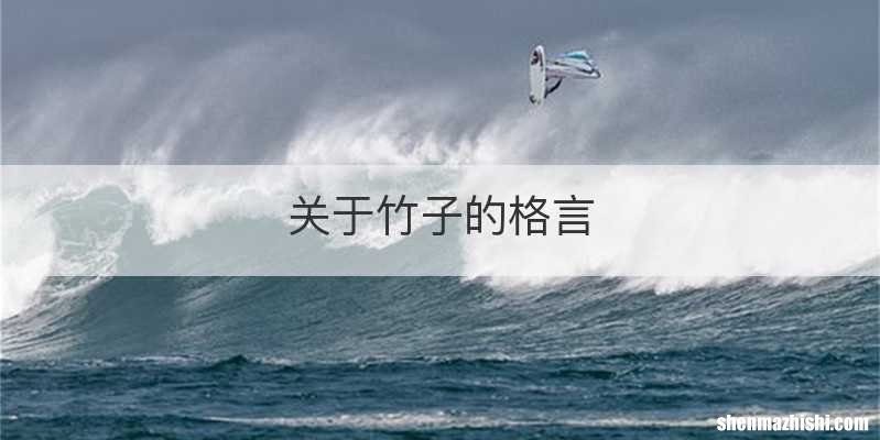 关于竹子的格言