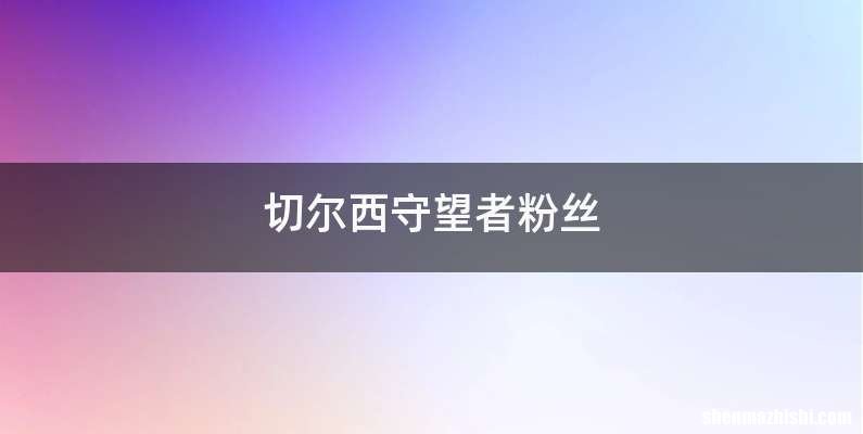 切尔西守望者粉丝