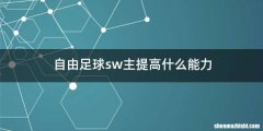 自由足球sw主提高什么能力