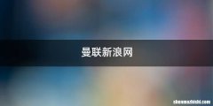 曼联新浪网