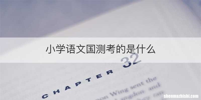 小学语文国测考的是什么