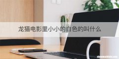 龙猫电影里小小的白色的叫什么