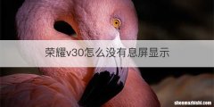 荣耀v30怎么没有息屏显示