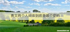 赛文两个人间体到底是哪个变的