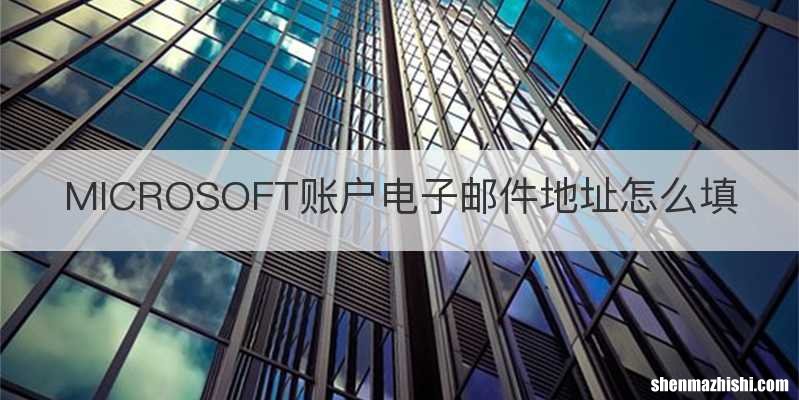 MICROSOFT账户电子邮件地址怎么填