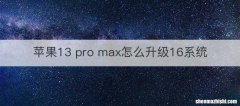 苹果13 pro max怎么升级16系统