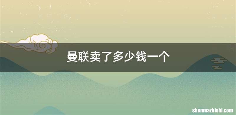 曼联卖了多少钱一个