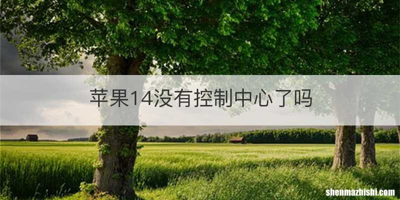 苹果14没有控制中心了吗