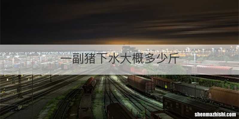 一副猪下水大概多少斤