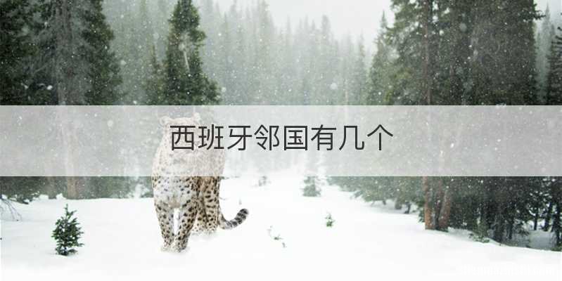 西班牙邻国有几个