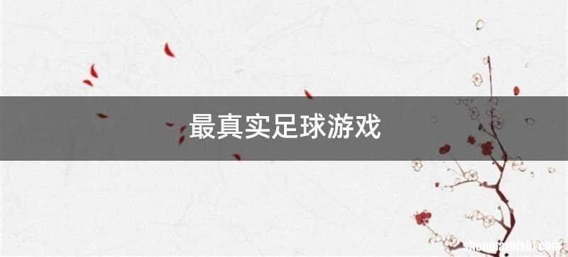 最真实足球游戏
