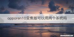 opporen10变焦版可以用两个系统吗