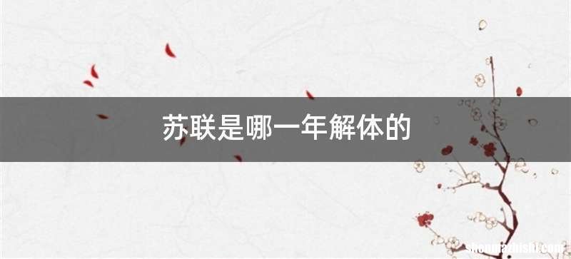 苏联是哪一年解体的
