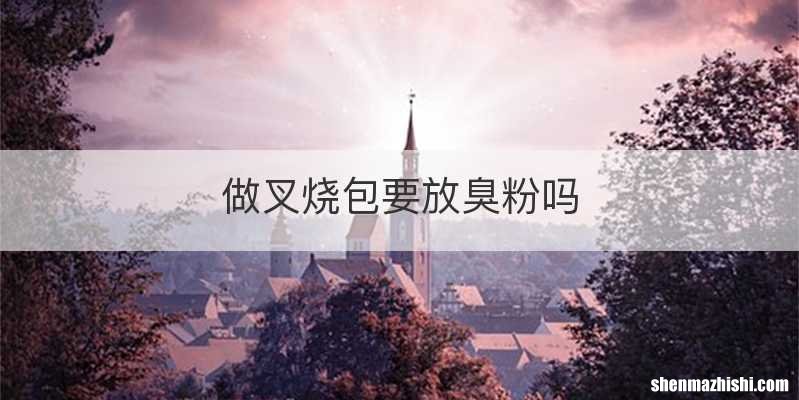 做叉烧包要放臭粉吗