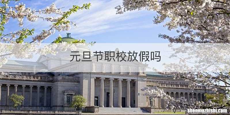 元旦节职校放假吗