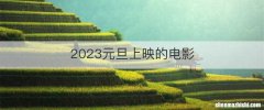 2023元旦上映的电影
