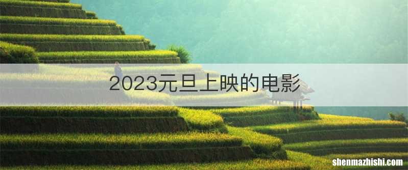 2023元旦上映的电影