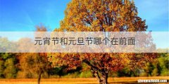 元宵节和元旦节哪个在前面