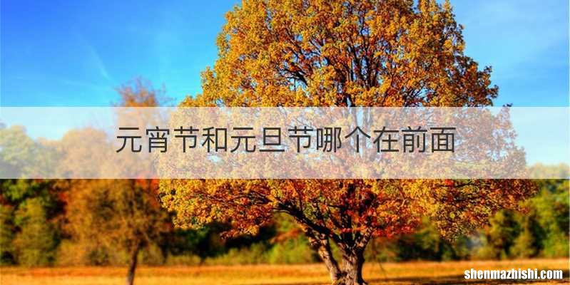 元宵节和元旦节哪个在前面