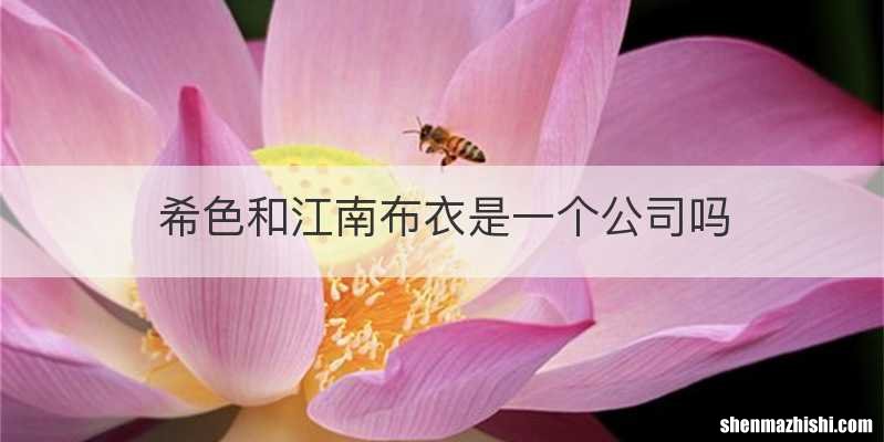 希色和江南布衣是一个公司吗