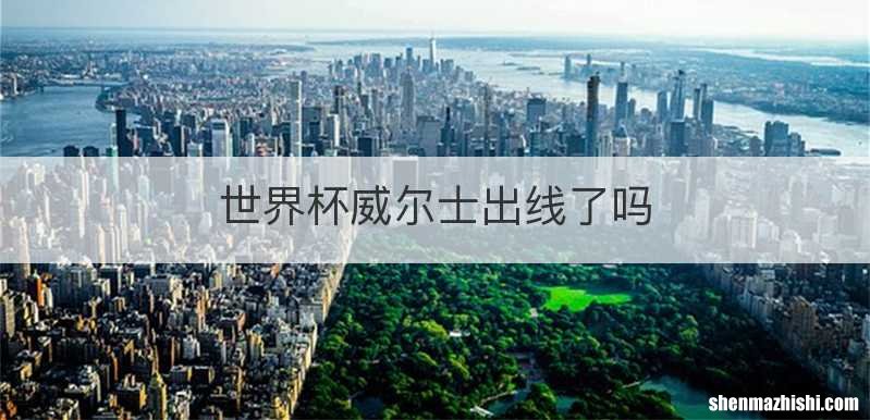 世界杯威尔士出线了吗