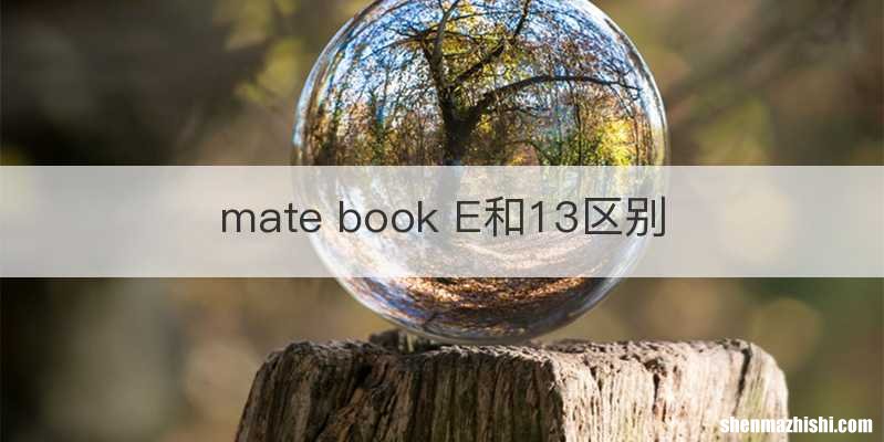 mate book E和13区别