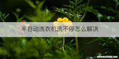 半自动洗衣机洗不停怎么解决