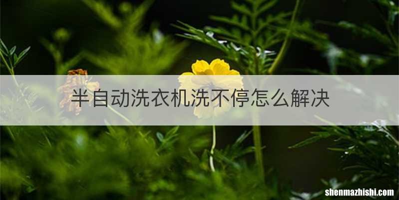 半自动洗衣机洗不停怎么解决