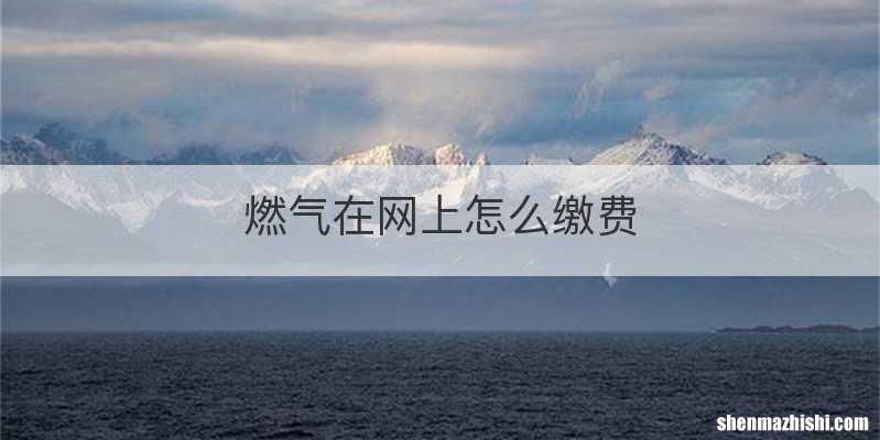 燃气在网上怎么缴费
