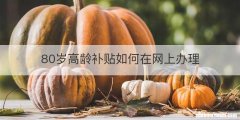 80岁高龄补贴如何在网上办理