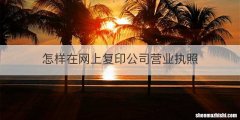 怎样在网上复印公司营业执照