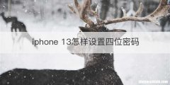 iphone 13怎样设置四位密码