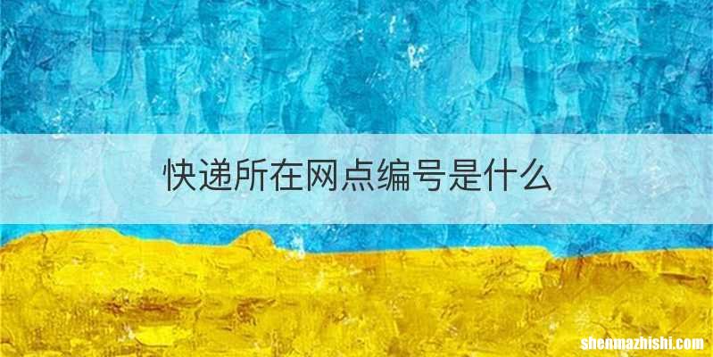 快递所在网点编号是什么