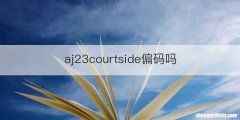 aj23courtside偏码吗