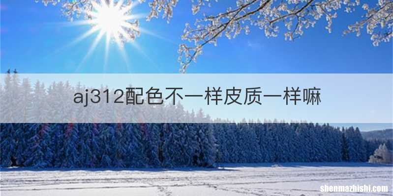 aj312配色不一样皮质一样嘛